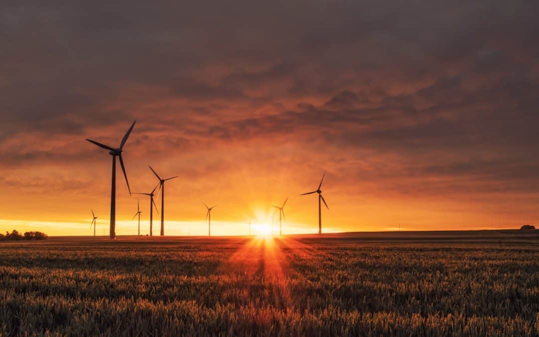 Driven International publishes first Sustainability Annual Report